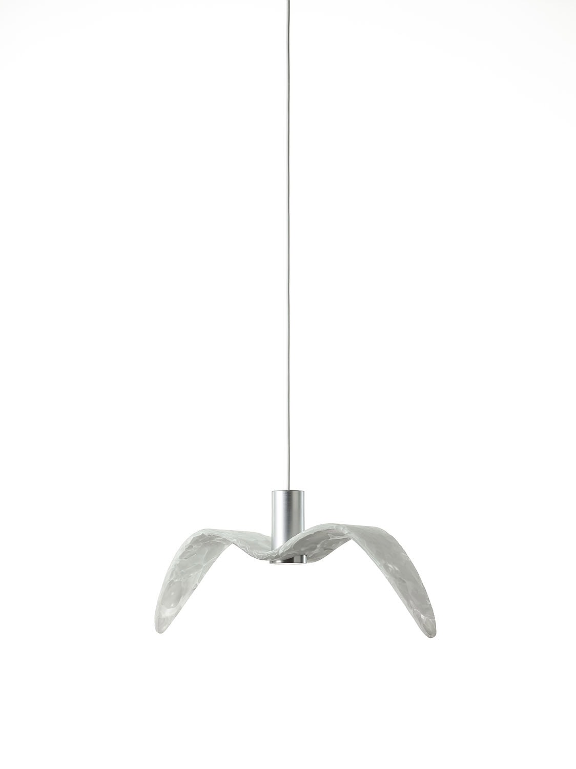 Brokis Night Birds Exterior Down Pendant: glass wings radiate elegance from a sleek silver cylinder, suspended in air.