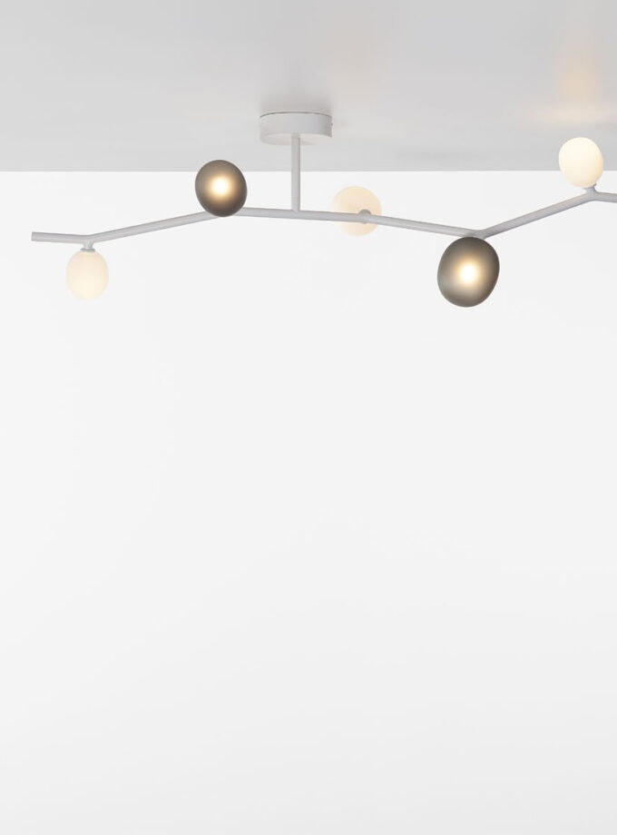 Ivy Ceiling 5