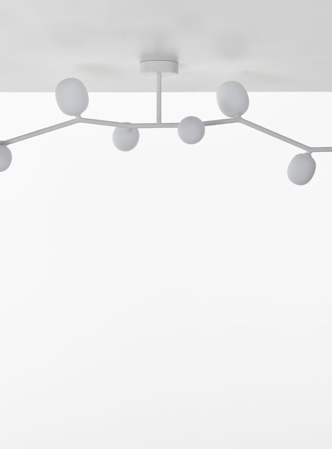 Ivy Ceiling 7