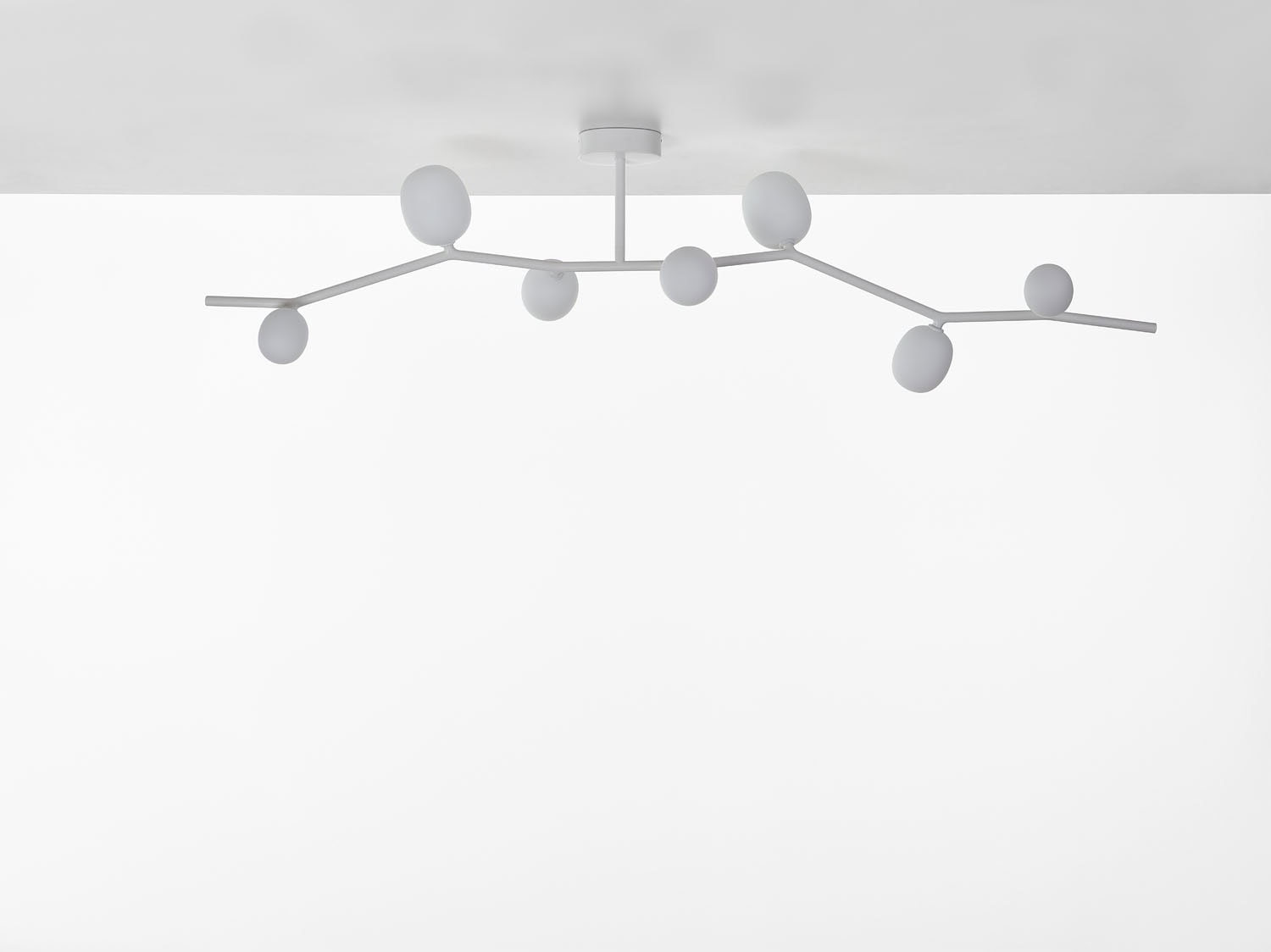 Brokis Ivy Ceiling 7 stuns with sculptural branches and handblown globes, radiating luxury on a white ceiling.