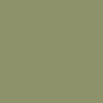 Capsula Triangle Pendant - Olive green - transparent