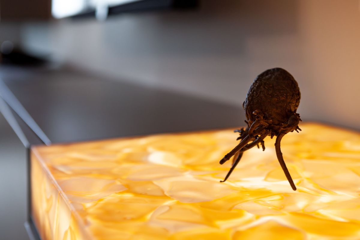 A sculptural form with slender roots rests on a glowing amber BROKISGLASS surface.