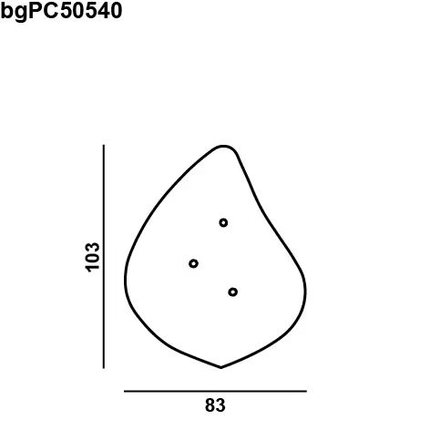 BROKISGLASS Bloom petal size M.